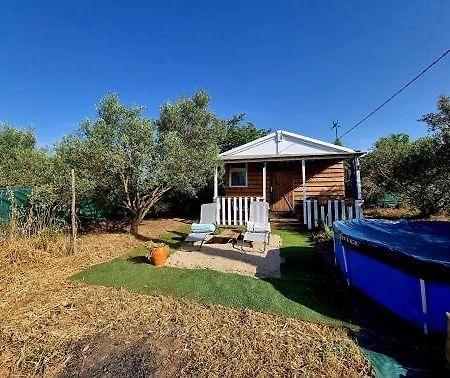 Un Chalet Dans Les Oliviers 3 Nuits Mini Nimes Ngoại thất bức ảnh